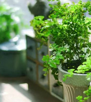 新余专属于你的开运指南，助你鸿运当头福满身！